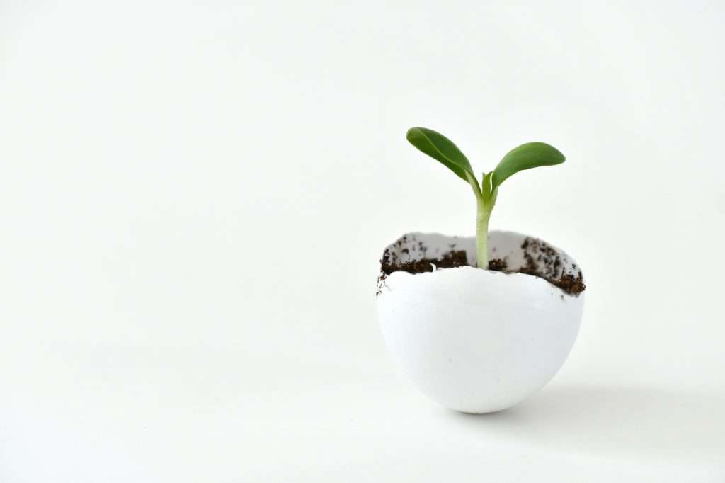 mindfulness - SensZenjoy - SensZenjoy
