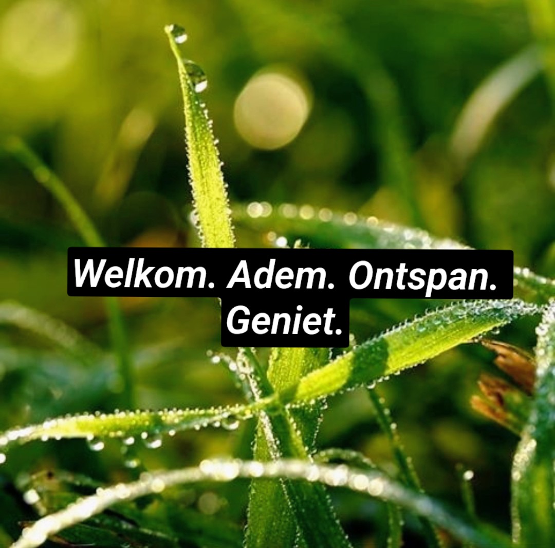 Dauwdruppels op groene grashalmen met de tekst Welkom. Adem. Ontspan. Geniet.